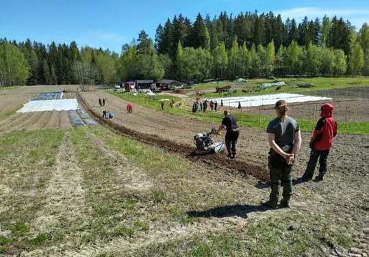 헬싱키 '도시 농부의 밭', 함께 농사짓는 것의 의미