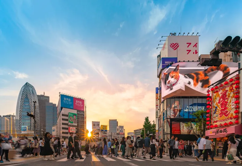 일본 도시와 부동산 시장에서 주목해야 할 새로운 움직임들