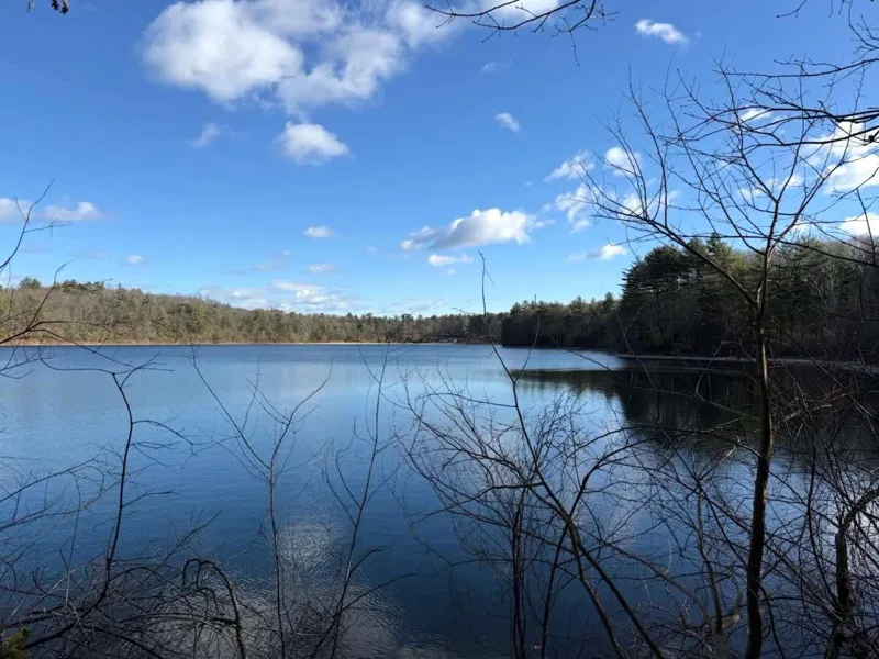 [CEO의 서재]의도적으로 산다는 것