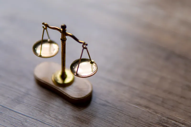 새로운 문화패권 ⑧생존을 위한 평등