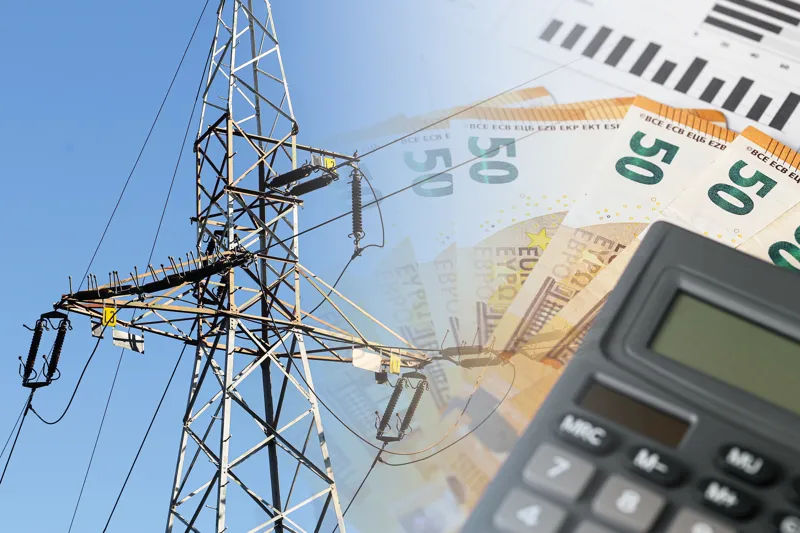 전력시장의 메커니즘, 가격 신호가 만드는 전력의 가치