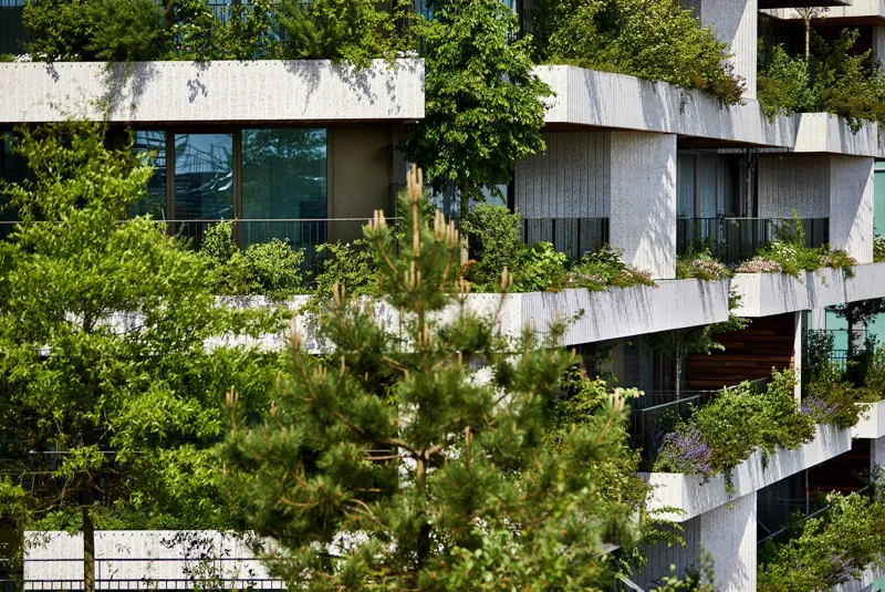 도심 속 녹색 오아시스는 가능한가, 네덜란드 '원더우즈'의 사례