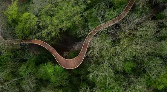 '더 뉴트 서머싯', 정원을 중심으로 한 경험형 부동산 모델